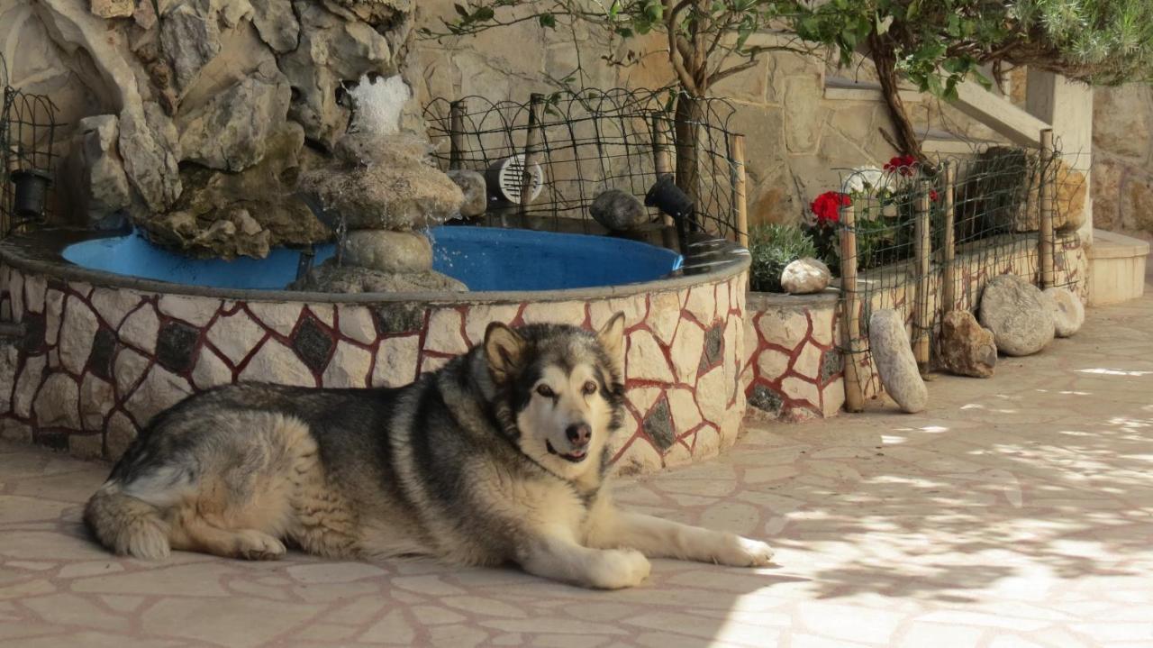 Apartmán Agava Dubrovnik