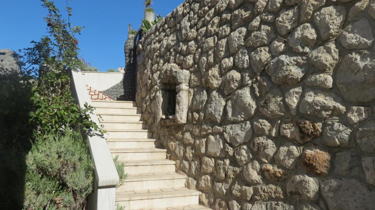 Apartmán Agava Dubrovnik