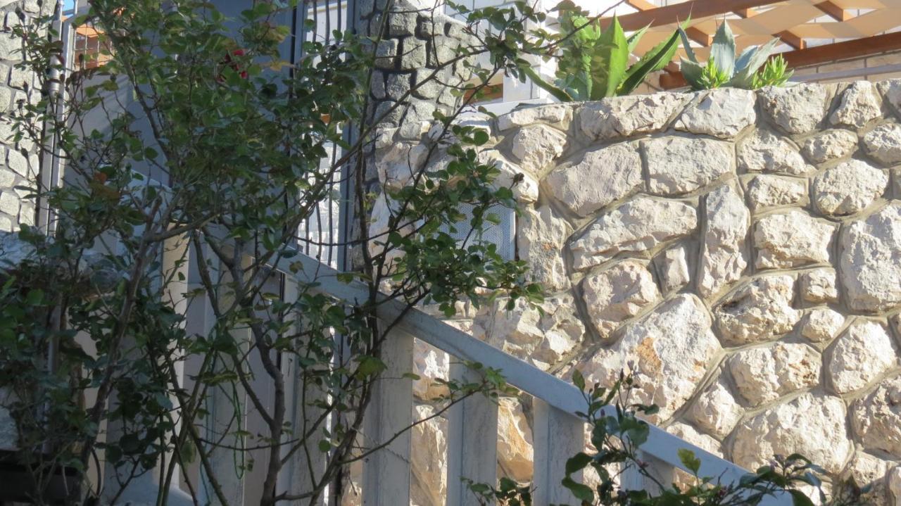 Agava * Dubrovnik