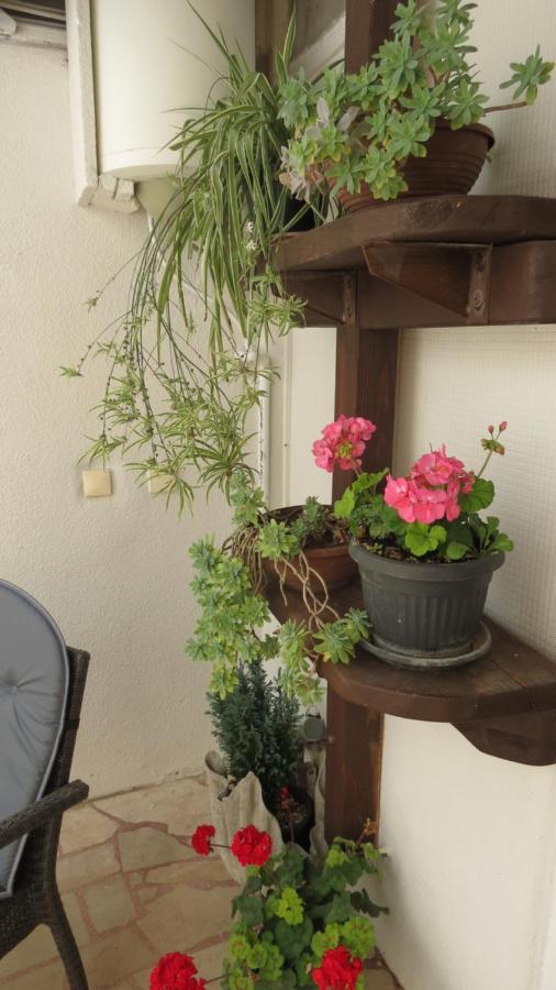 Apartment Agava Dubrovnik